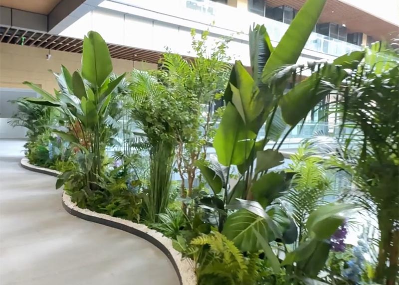 西安芬芳绿植租赁给浐灞半岛写字楼摆放绿植