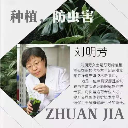 绿植养植技术讲师：刘明芳