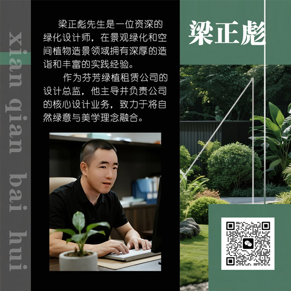 千百卉设计总监：梁正彪
