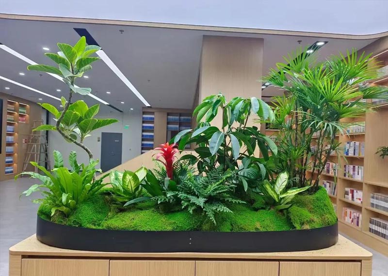 西安千百卉——专业绿植租赁领航者