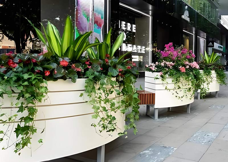 西安绿植租赁市场行情分析：供需格局及价格影响因素探究