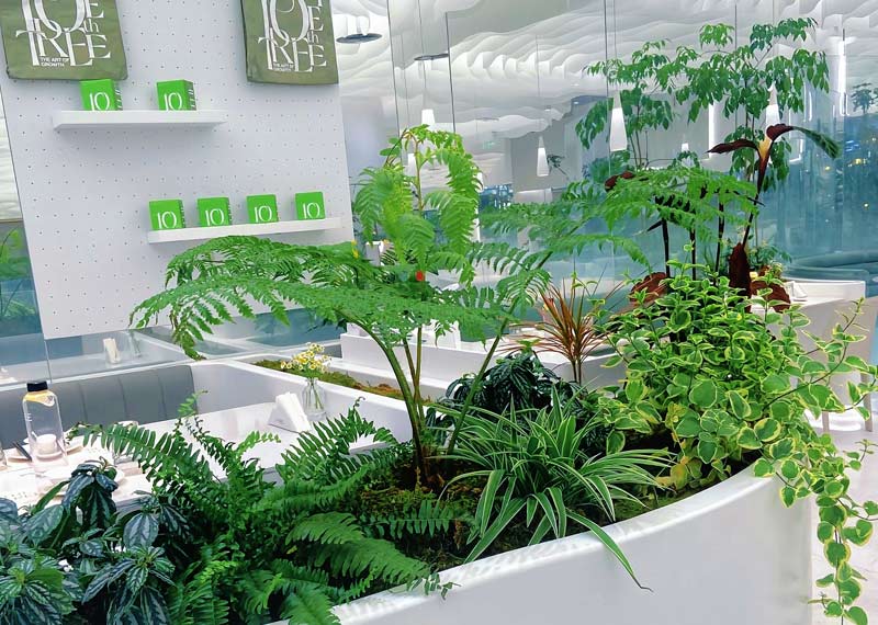 2026年西安绿植租赁行业趋势：服务升级与智慧绿化