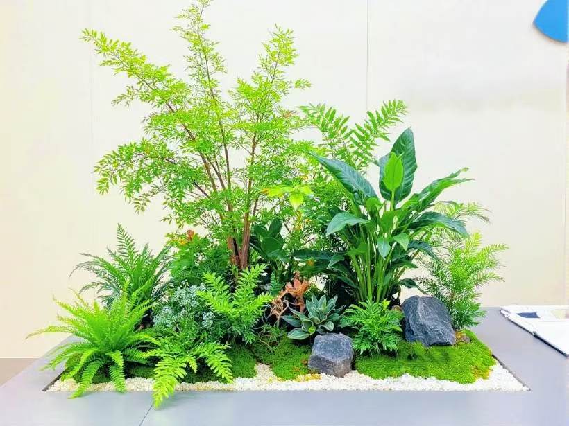 西安冬季绿植租赁市场现状：挑战与机遇并存