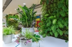 西安绿植租赁哪家好，深耕行业多年，硬实力
