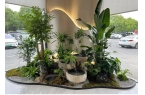 西安雁南五路写字楼绿植租赁，专业绿植租